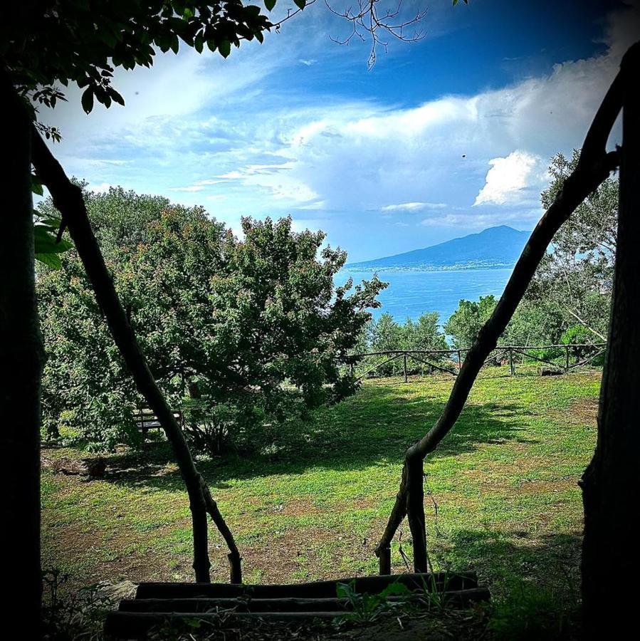 Habitat Eco Farm Hotell Sorrento Exteriör bild