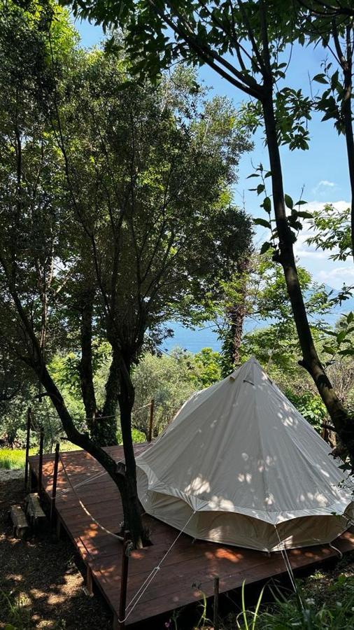 Habitat Eco Farm Hotell Sorrento Exteriör bild